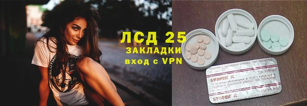 ешки Алексин