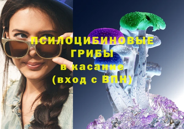 ешки Алексин