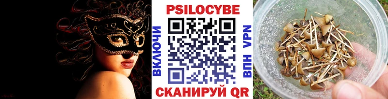 закладка  мега зеркало  Псилоцибиновые грибы Psilocybine cubensis  Старая Русса 